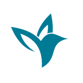 Wall Revival Studios